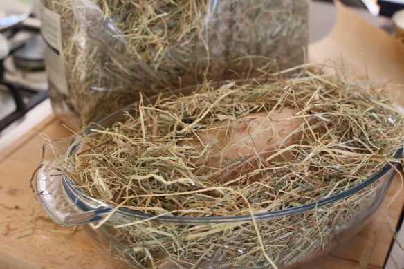 Chicken in hay